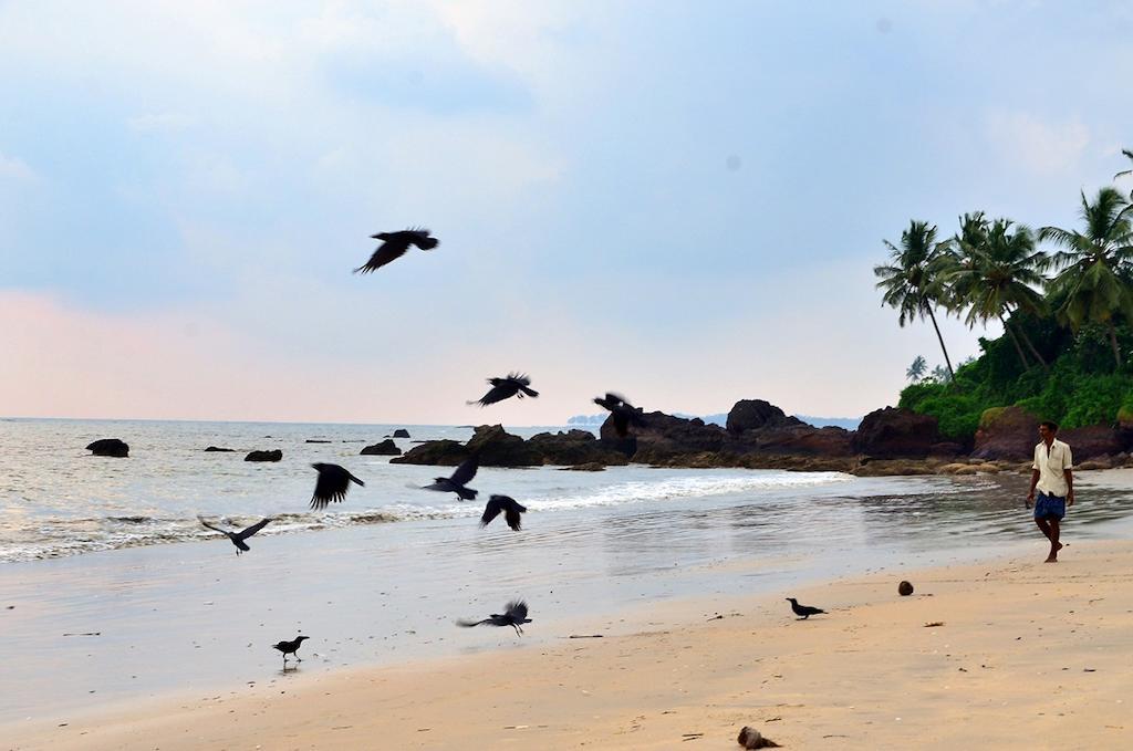 Ocean Green Kerala Kannur Esterno foto