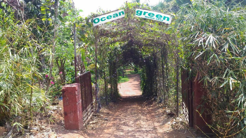 Ocean Green Kerala Kannur Esterno foto