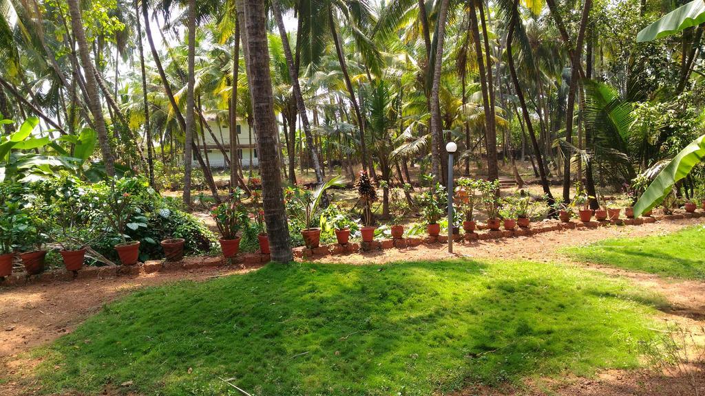 Ocean Green Kerala Kannur Esterno foto