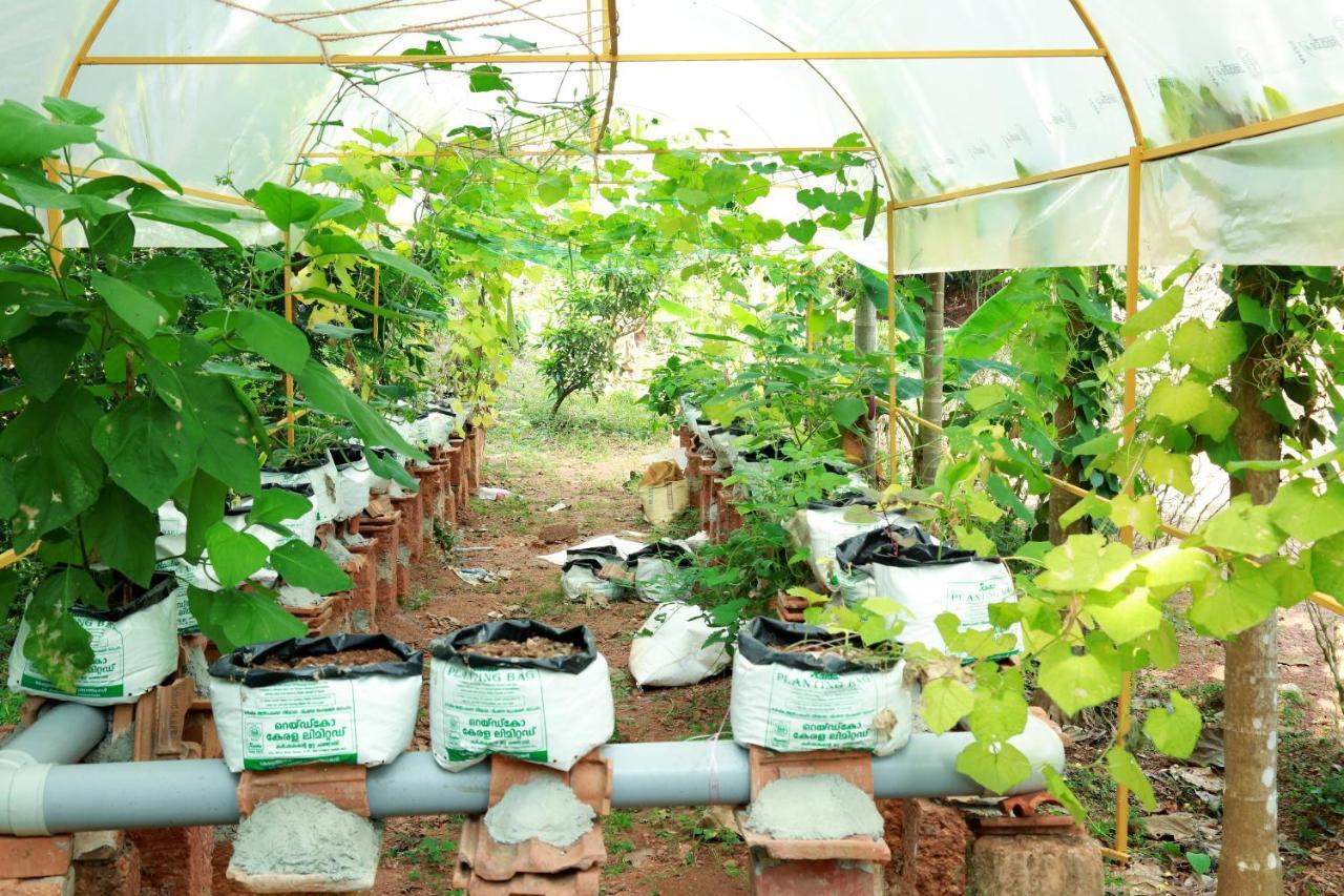 Ocean Green Kerala Kannur Esterno foto